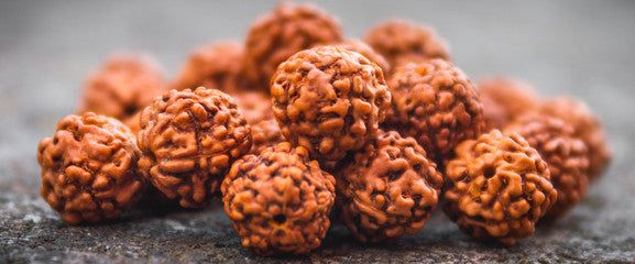🕉️ Premium 7 Mukhi Rudraksha Bracelet – Authentic Sacred Beads for Prosperity, Protection & Positive Energy
